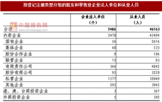 2017年湖南怀化市按注册类型分批发和零售业企业法人单位和从业人员占比情况调查（图）