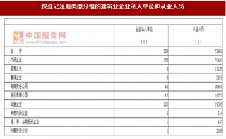 2017年湖南益阳市按注册类型分建筑业企业法人单位和从业人员占比情况调查（图）