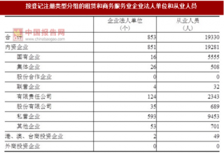 2017年湖南益阳市按注册类型分租赁和商务服务业企业法人单位和从业人员占比情况调查（图）