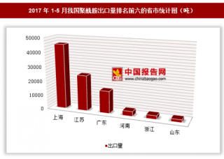 2017年1-5月我国出口聚酰胺9.55万吨 其中上海出口占比最大