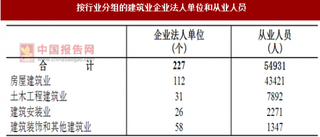 2017年广东揭阳市按行业分建筑业企业法人单位和从业人员占比及资产情况调查（图）