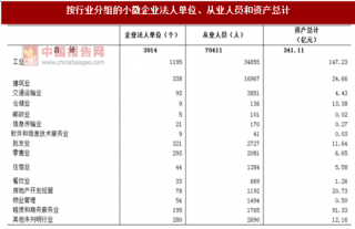 2017年安徽合肥市庐江县按行业分小微企业法人单位、从业人员和资产情况调查（图）