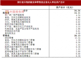 2017年安徽合肥市庐江县按行业分批发和零售业企业法人单位资产情况调查（图）