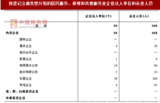 2017年安徽合肥市庐江县按注册类型分居民服务、修理和其他服务业企业法人单位和从业人员数量调查（图）