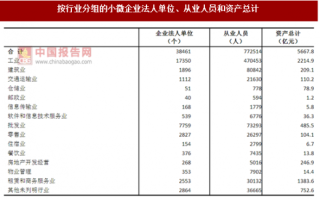 2017年江苏镇江市按行业分小微企业法人单位、从业人员和资产情况调查（图）