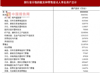 2017年江苏镇江市按行业分批发和零售业法人单位资产情况调查（图）