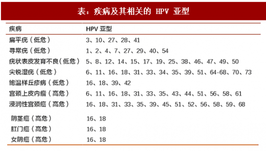 hpv型号和疾病对照表图片