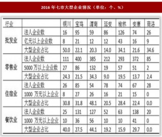 2016年陕西省延安市社会消费品零售额增长6.4%