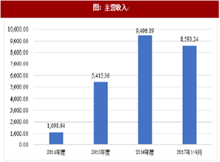 2017年我国光伏行业浙江瑞翌新材料科技股份有限公司市场地位及竞争优劣势分析（图）