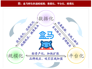 2017年中国生鲜电商行业新生品牌运营模式及发展路径分析 （图）