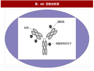 2017年中国抗体药物偶联物行业销售额及研究情况分析 （图）