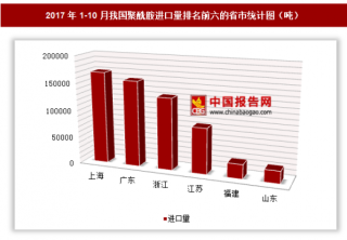 2017年1-10月我国进口聚酰胺63.03万吨 其中上海进口占比最大