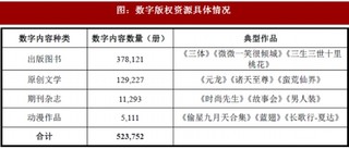 2017年我国互联网数字阅读行业掌阅科技股份有限公司竞争优劣势分析（图）