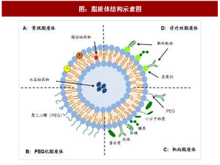 2017年中国脂质体行业产品现状及上市情况分析（图）