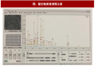 2017年中国微生物质谱行业市场规模与竞争态势分析及预测（图）