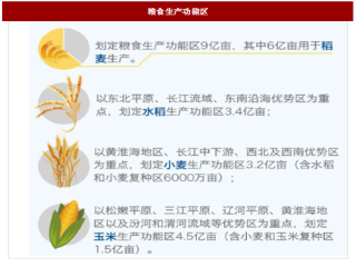 2018年我国农业行业玉米去库存情况与水稻种子市场格局分析（图）