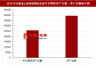 2015年末黑龙江省林业国有企业主要指标分析