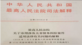 “小马奔腾案”能否反转？哪些情况下，配偶举债另一方不用还？