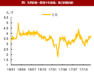 2018年我国白鸡产能及价格预测分析（图）