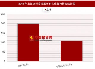 2016年上海农村养老服务和文化机构情况分析