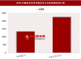 2016年湖南农村养老服务和文化机构情况分析