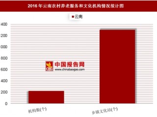 2016年云南农村养老服务和文化机构情况分析