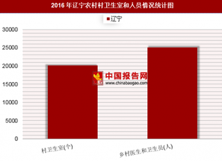 2016年辽宁农村村卫生室和人员情况分析