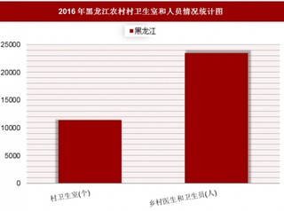 2016年黑龙江农村村卫生室和人员情况分析