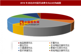 2016年河北农村居民消费支出分析