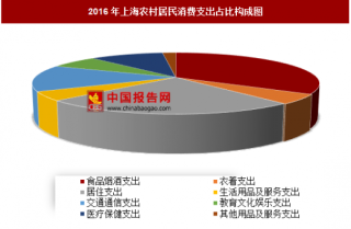 2016年上海农村居民消费支出分析