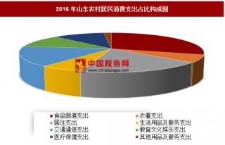 2016年山东农村居民消费支出分析