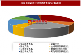 2016年河南农村居民消费支出分析