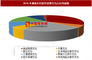 2016年湖南农村居民消费支出分析