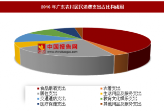 2016年广东农村居民消费支出分析