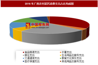 2016年广西农村居民消费支出分析