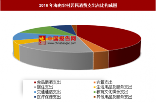 2016年海南农村居民消费支出分析