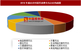 2016年重庆农村居民消费支出分析