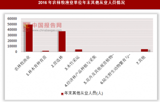 2016年农林牧渔业单位年末其他从业人员情况