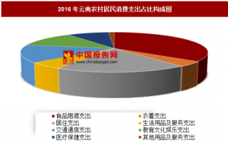 2016年云南农村居民消费支出分析