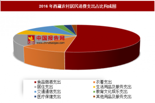 2016年西藏农村居民消费支出分析