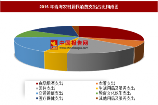 2016年青海农村居民消费支出分析