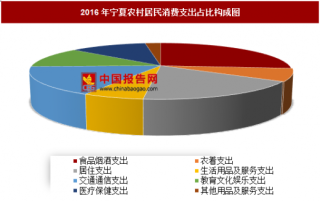 2016年宁夏农村居民消费支出分析