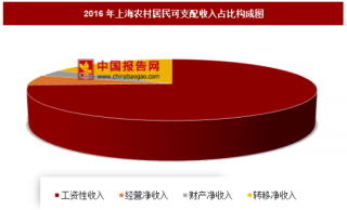 2016年上海农村居民可支配收入分析