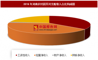 2016年河南农村居民可支配收入分析