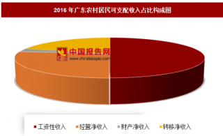 2016年广东农村居民可支配收入分析