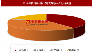 2016年贵州农村居民可支配收入分析