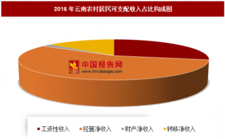 2016年云南农村居民可支配收入分析