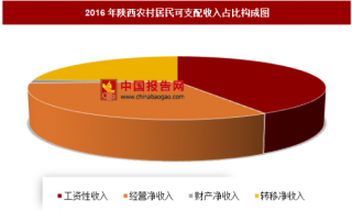 2016年陕西农村居民可支配收入分析