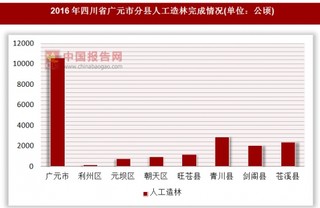 2016年四川省广元市分县人工造林完成情况