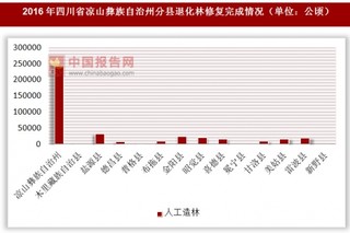 2016年四川省凉山彝族自治州分县人工造林完成情况